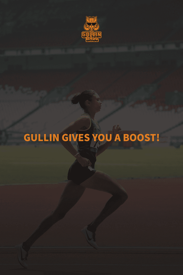 GULLIN BOOSTER